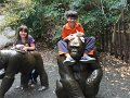 Kids_DFWzoo_3-2016 (175)